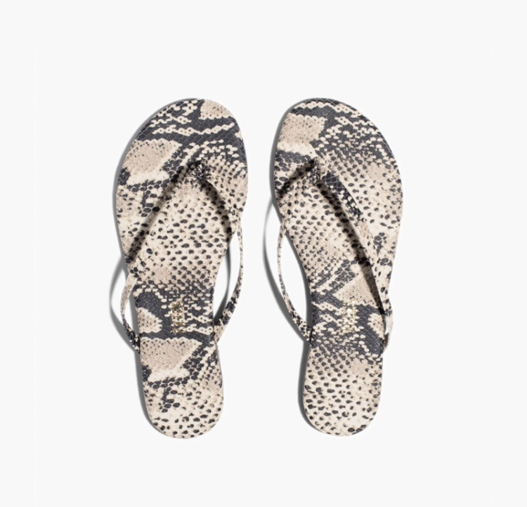 STUDIO EXOTIC SANDSNAKE