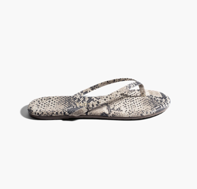 STUDIO EXOTIC SANDSNAKE