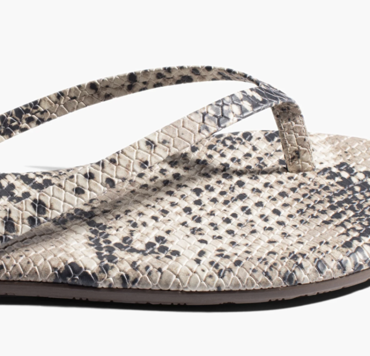 STUDIO EXOTIC SANDSNAKE